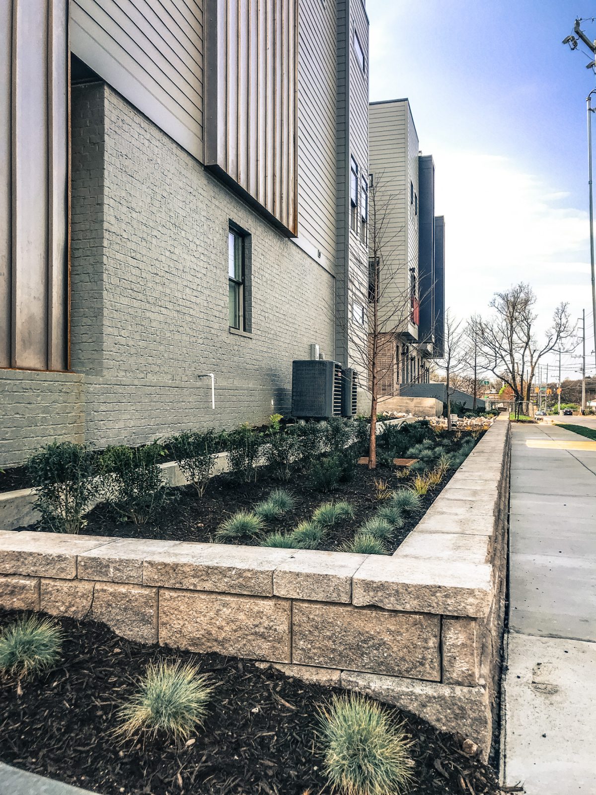 Rain Garden